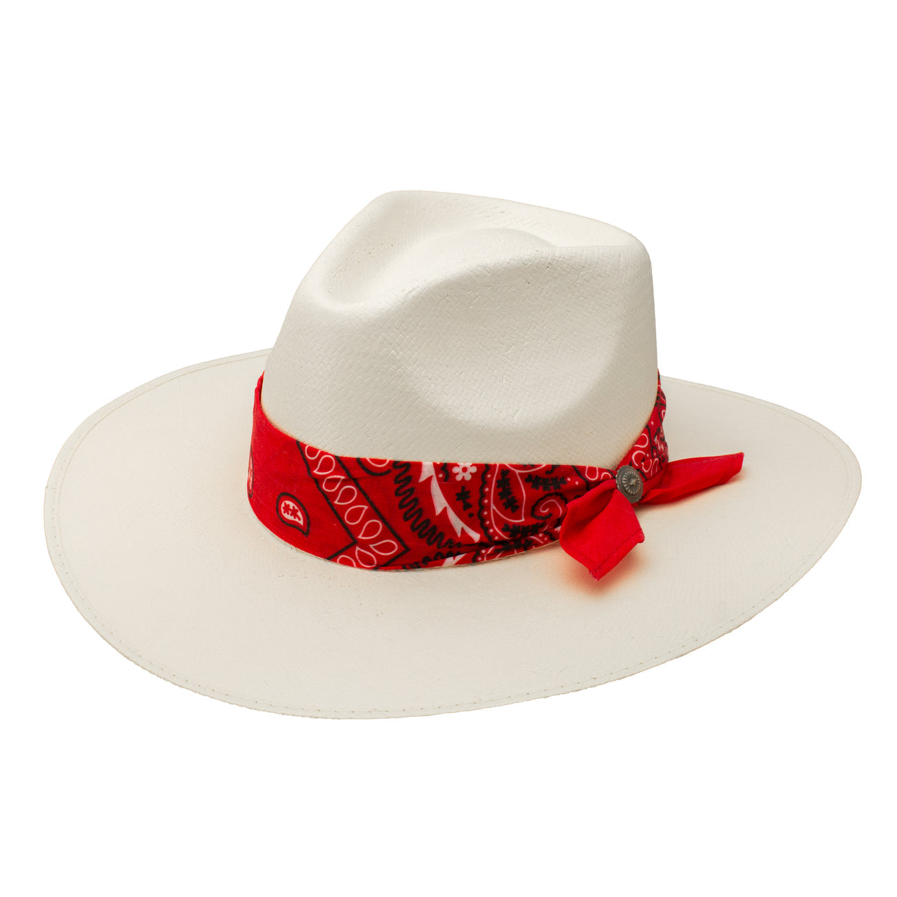 Charlie Horse Dreamcatcher Straw Hat