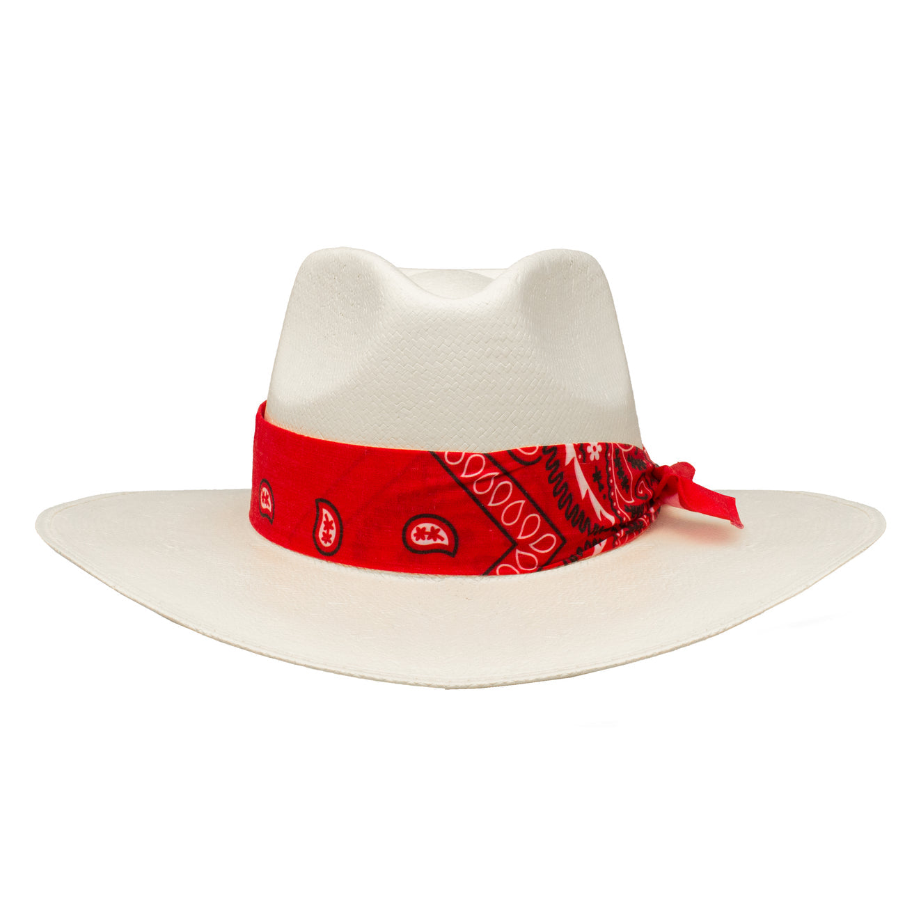 Charlie Horse Dreamcatcher Straw Hat
