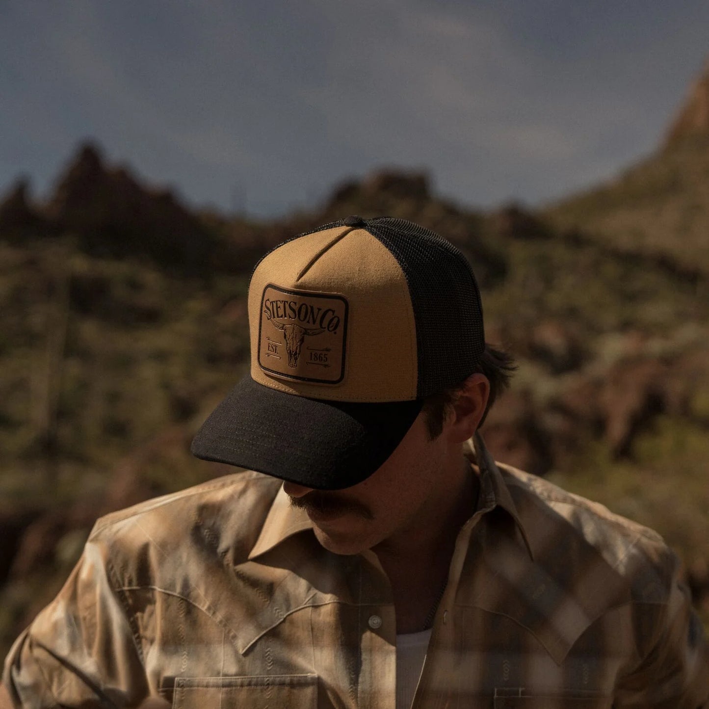 Stetson Longhorn Patch Trucker Hat