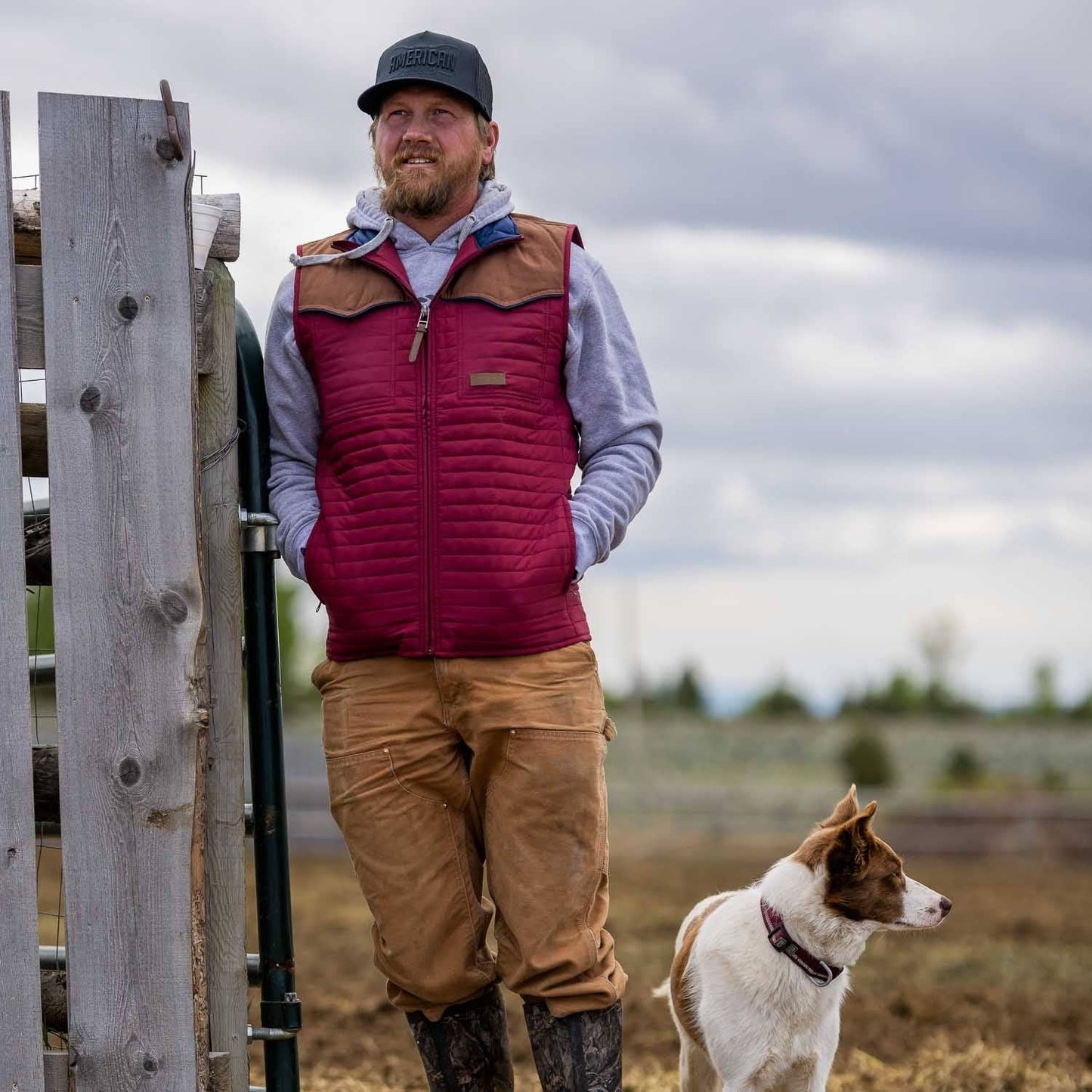 American Cattle Co - Rider