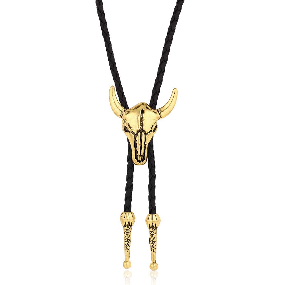 Montana Silversmith Southwest Desert Bolo Tie
