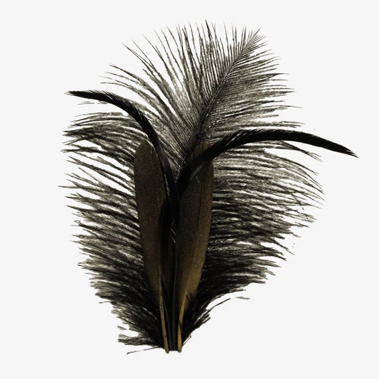 American Hat Makers Olympia | Black Hat Feather