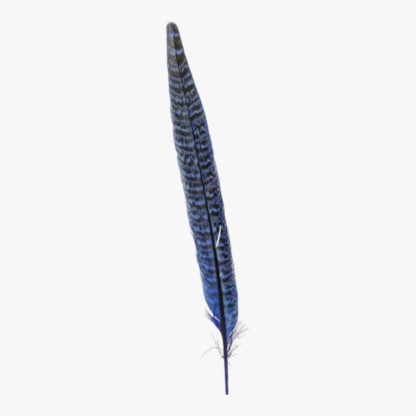 American Hat Makers Ringneck | Hat Feather