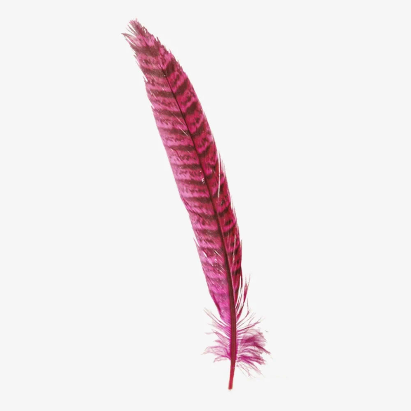 American Hat Makers Ringneck | Hat Feather