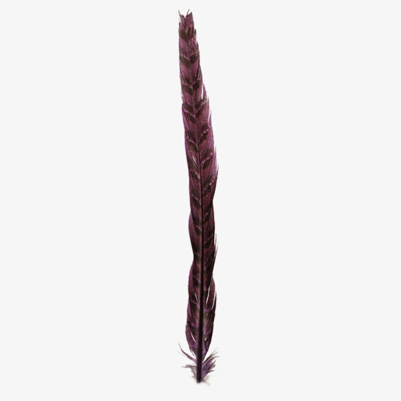 American Hat Makers Ringneck | Hat Feather