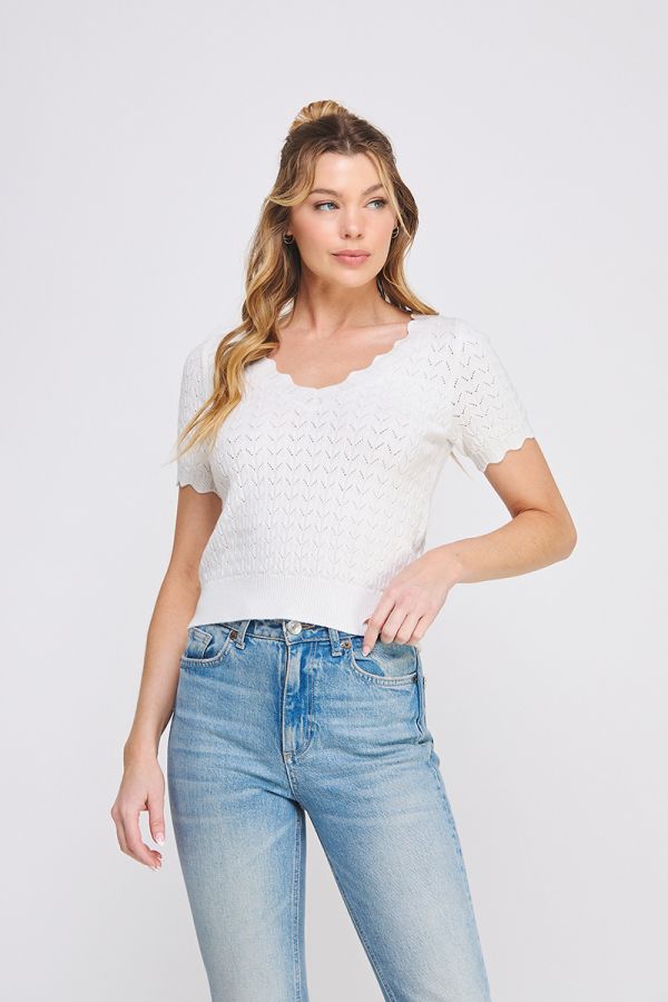 Allie Rose Short Sleeve V-Neck Sweater