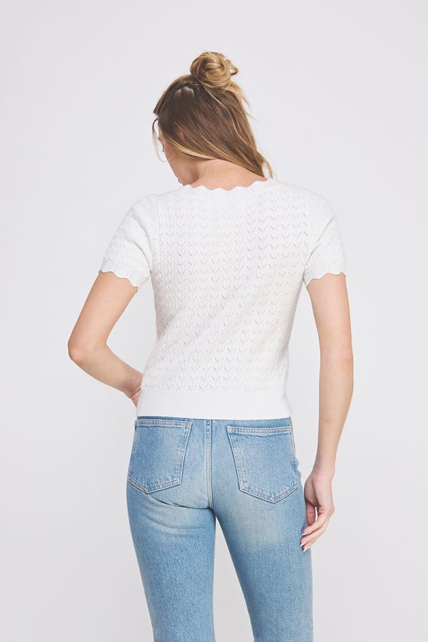 Allie Rose Short Sleeve V-Neck Sweater
